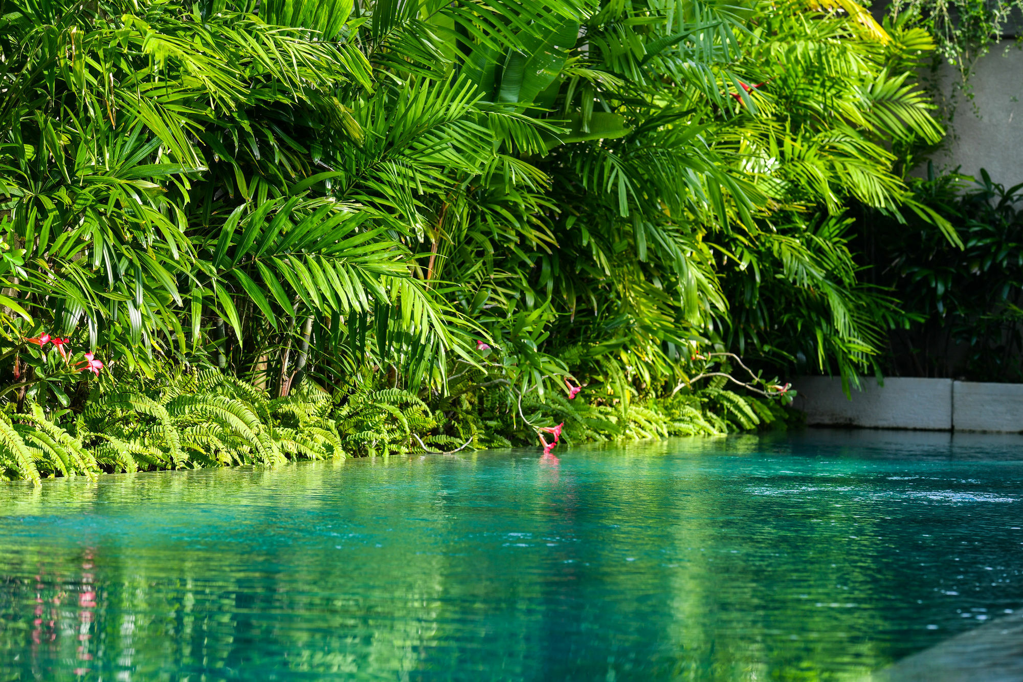 Villa Lala Kuta Lombok Esterno foto